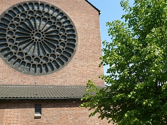 Rosette